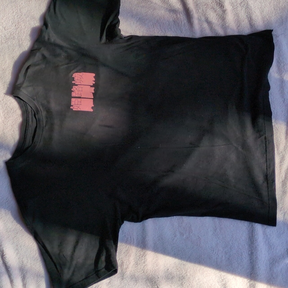 Himeji Castle shirt